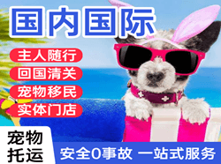 路桥机场邮寄国际宠物托运 【国